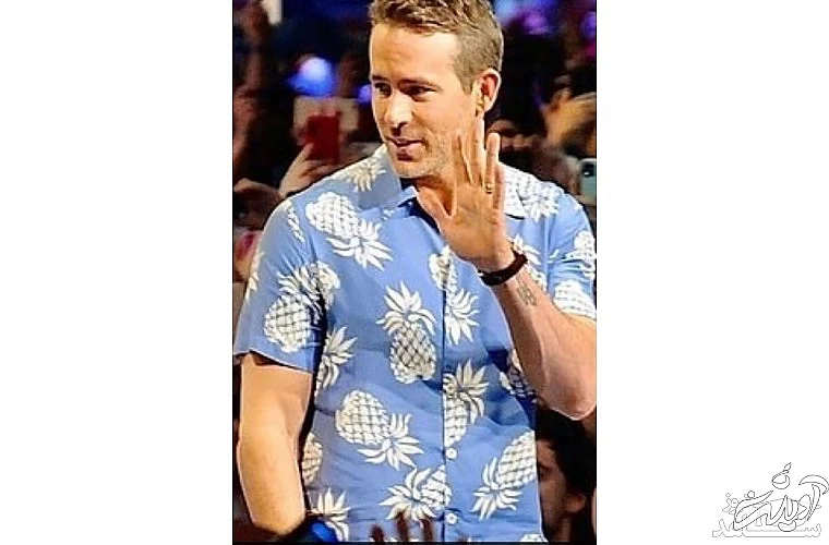 تصویررایان رینالد